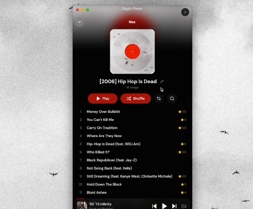 Animated Diggin Player concept preview